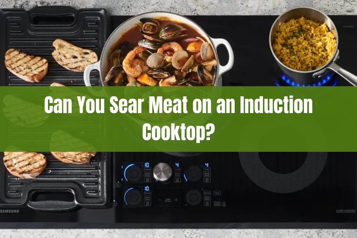 Can You Sear Meat on an Induction Cooktop